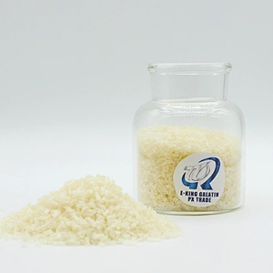 Hot Selling Food Grade CAS 9000-70-8 Gelatin Powder Halal Gelatin Bovine Gelatin